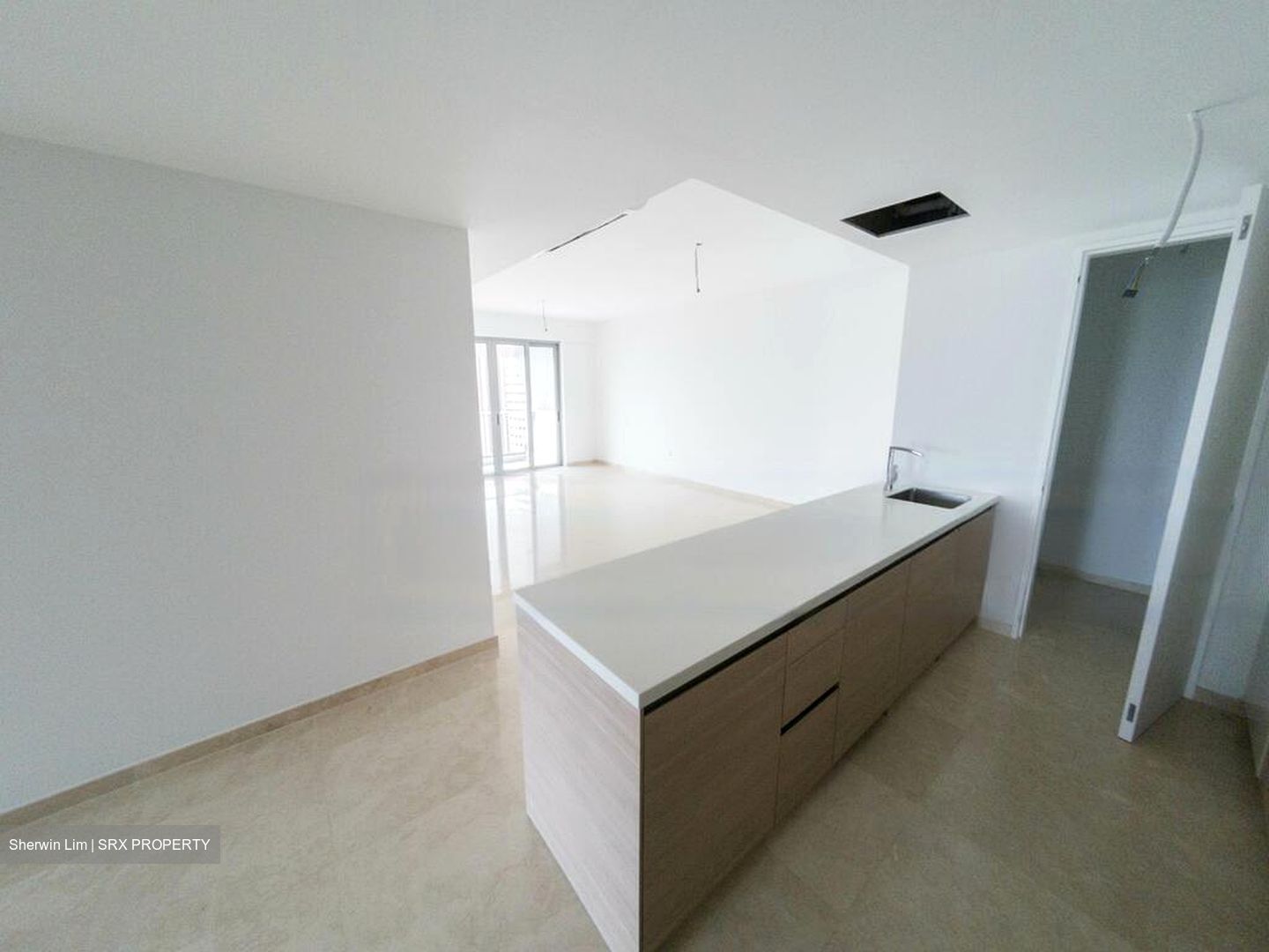 V On Shenton (D1), Apartment #478245001